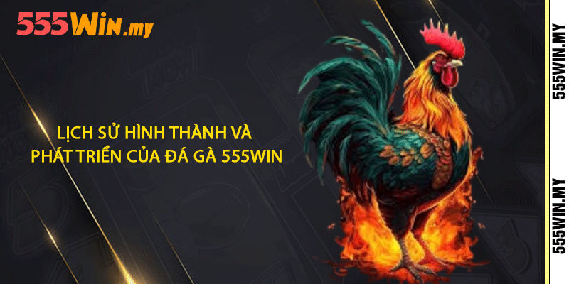 Đá Gà 555win - Những Cuộc Chiến Kinh Điển Gây Cấn 1 Lịch sử hình thành và phát triển của đá gà 555win